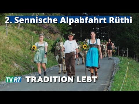Alpabfahrt Rüthi 2025: Wenn alte Tradition wieder zum Leben erwacht