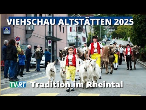 Wenn 400 Tiere durch Altstätten ziehen | Tradition & Emotion auf der Breite | Viehschau 2025