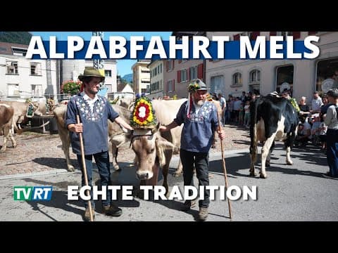 Alpabfahrt Mels: Das Fest der Rückkehr | Jahrhundertealte Tradition im Rheintal
